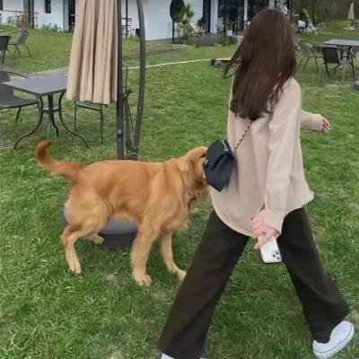 猎杀：生死突围